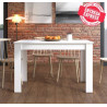 MESA COMEDOR EXTENSIBLE BLANCA NORUEGA